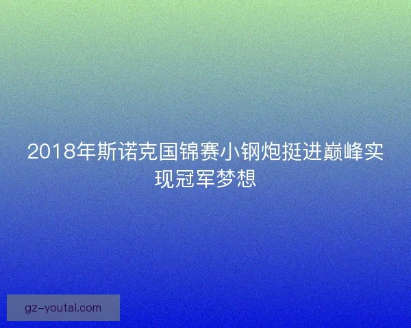 2018年斯诺克国锦赛小钢炮挺进巅峰实现冠军梦想